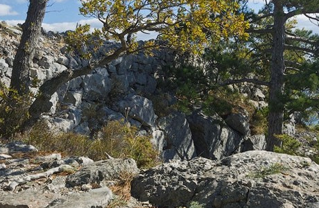Алупка-Исар: музей под открытым небом