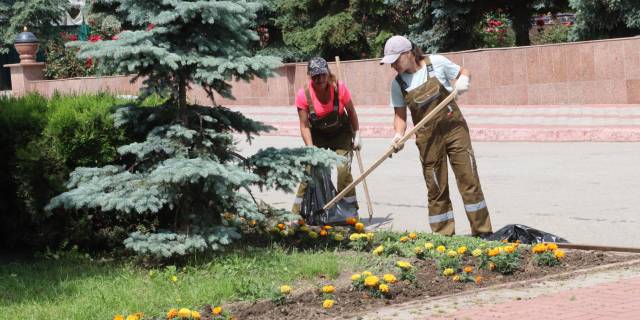 Уход за цветами в Керчи: ежедневная забота озеленителей
