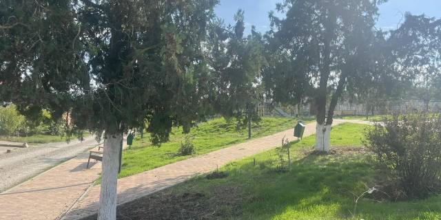 В районе Мичурино приступили к наведению порядка